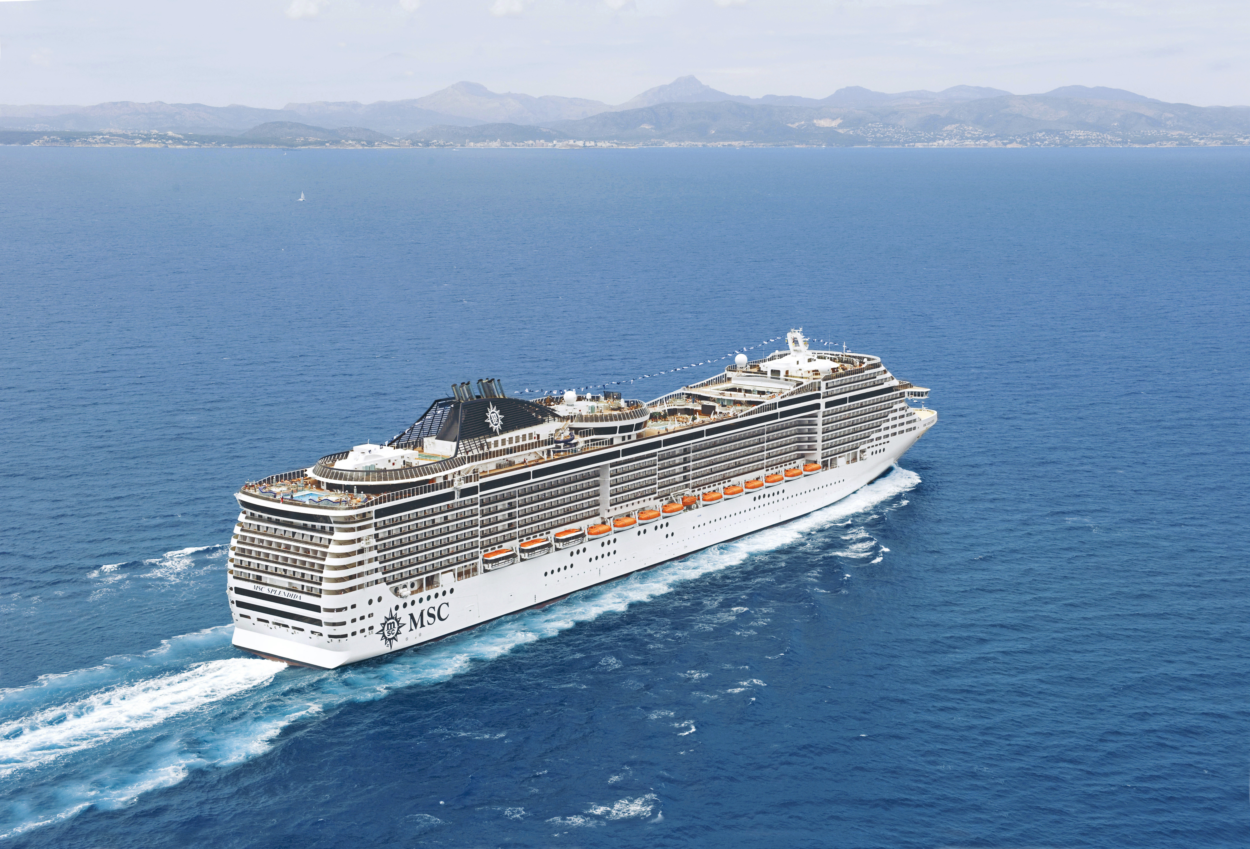 MSC13015821